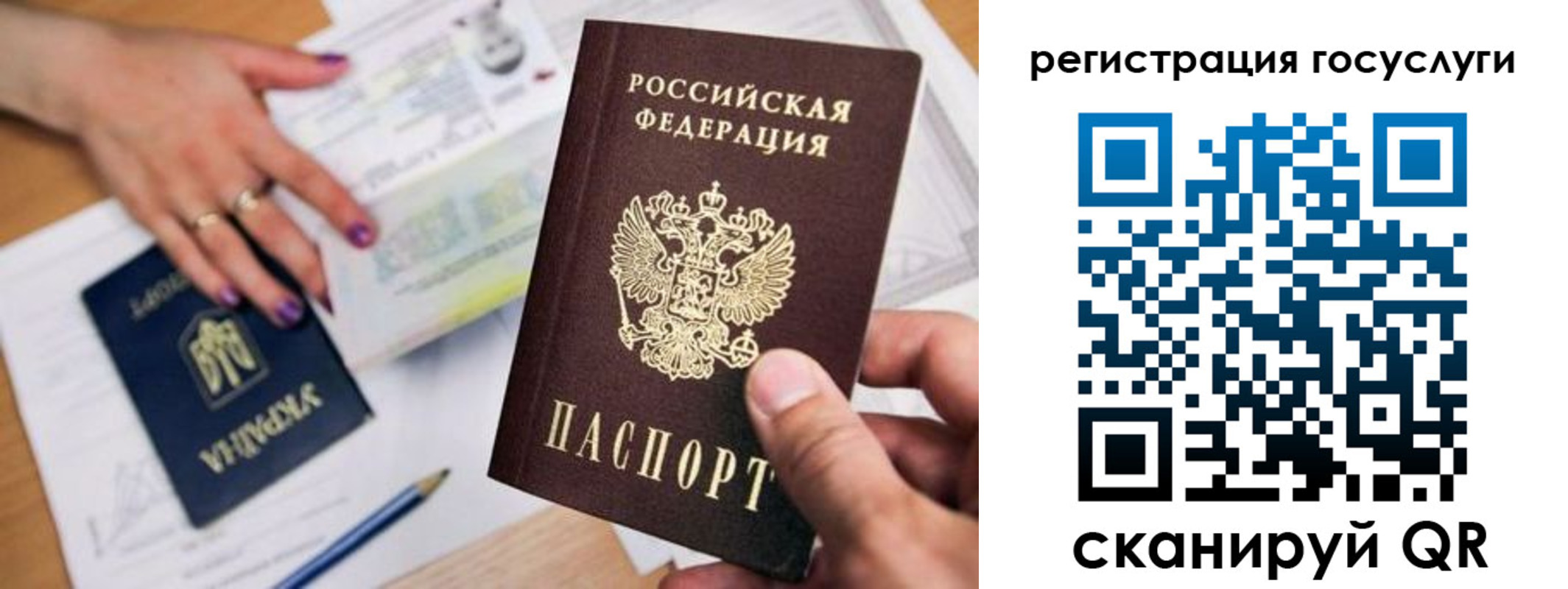 прописка иностранных граждан в Александрове